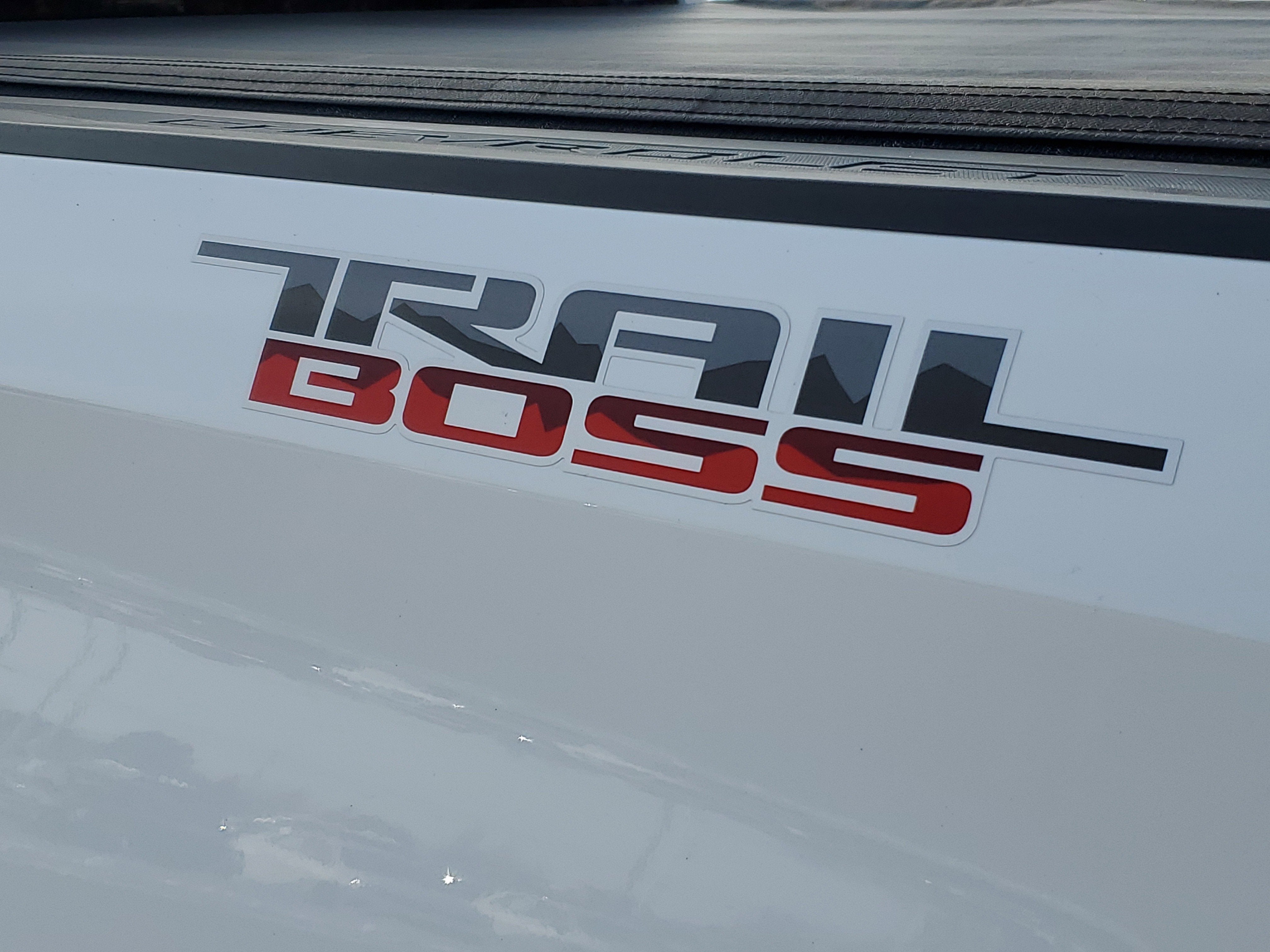 2020 Chevrolet Silverado 1500 Custom Trail Boss