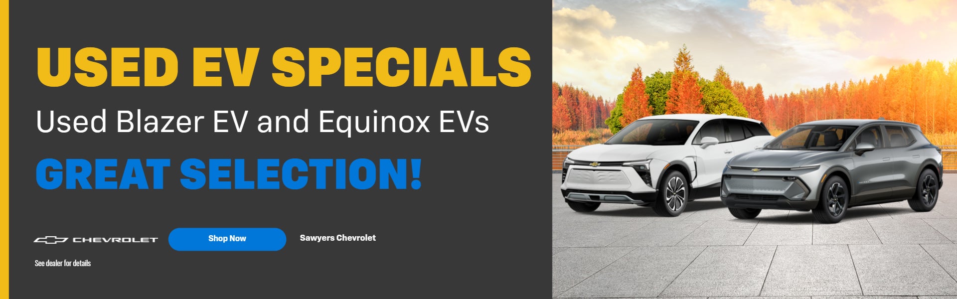 Used EV Specials